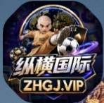 纵横国际