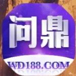 问鼎国际