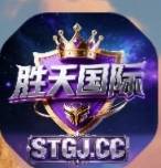 胜天国际