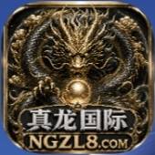真龙国际